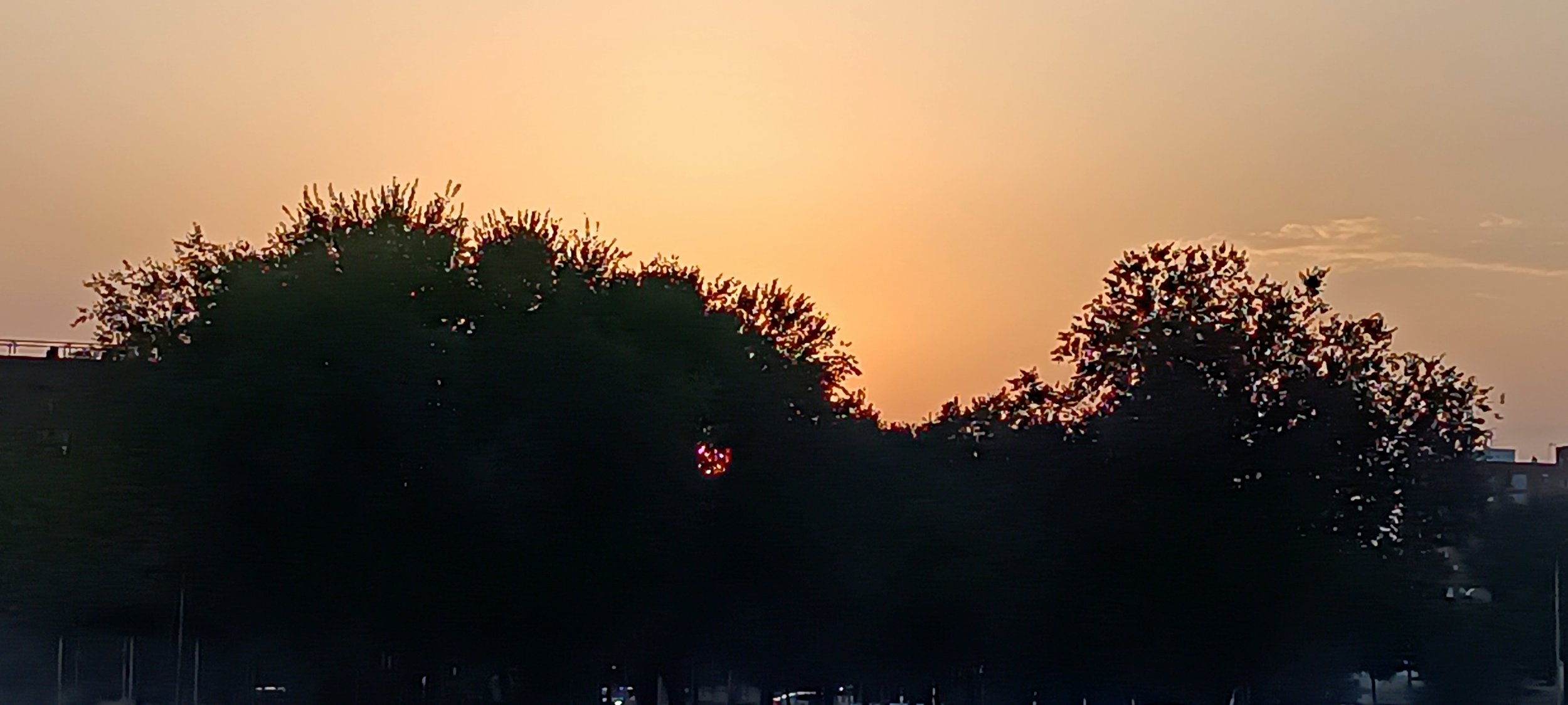 IMG_20250816_204515.jpg