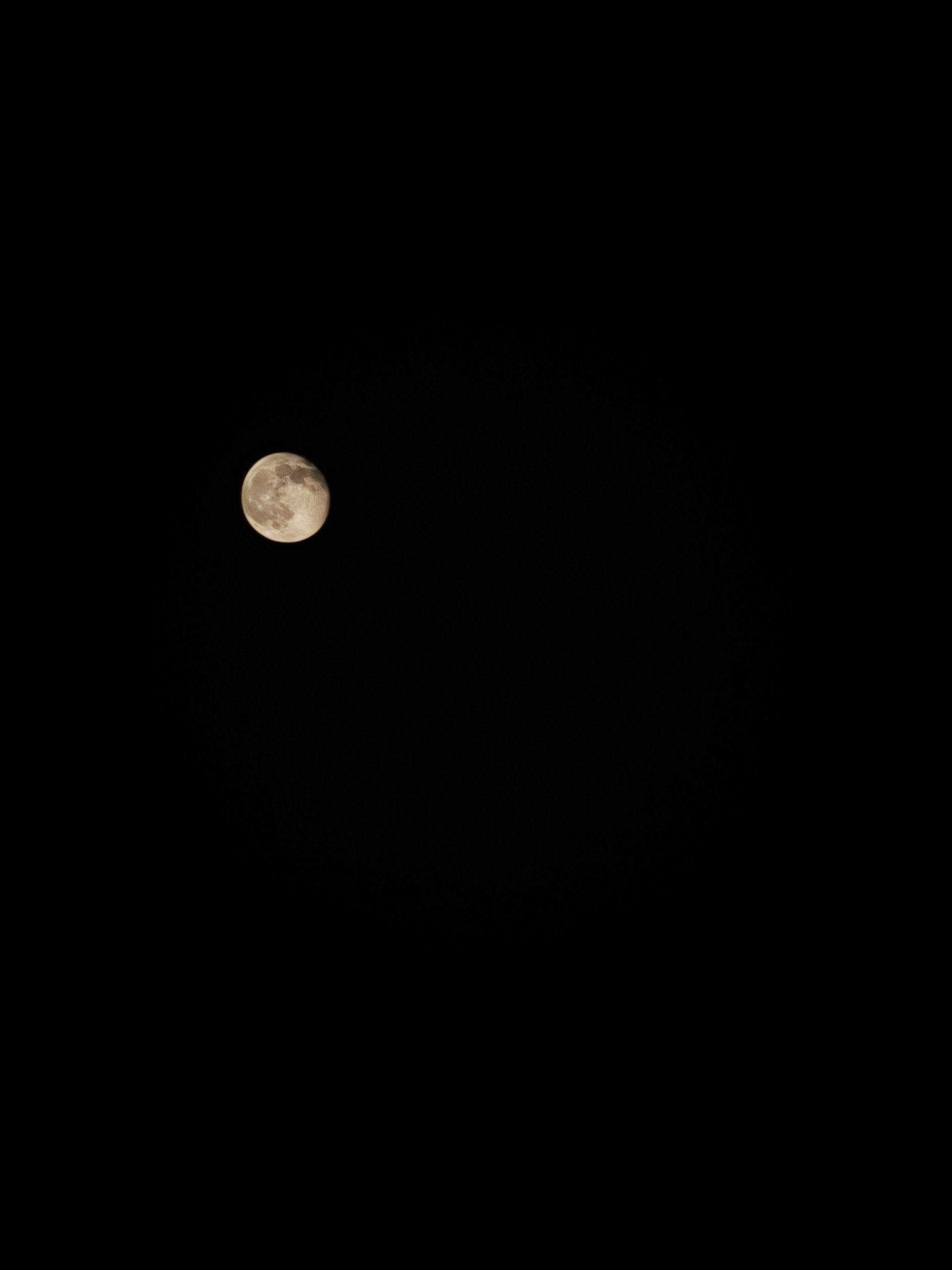 IMG_20251008_211340.jpg