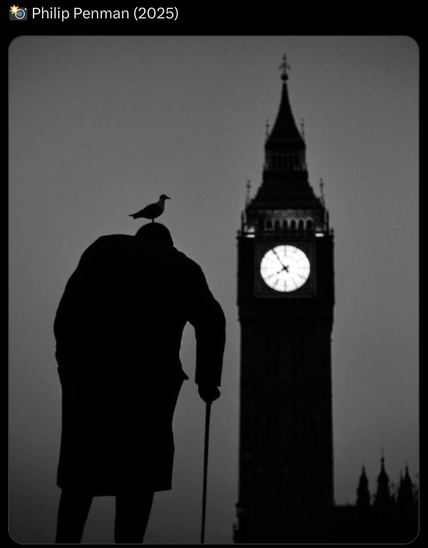 IMG_4037.jpeg