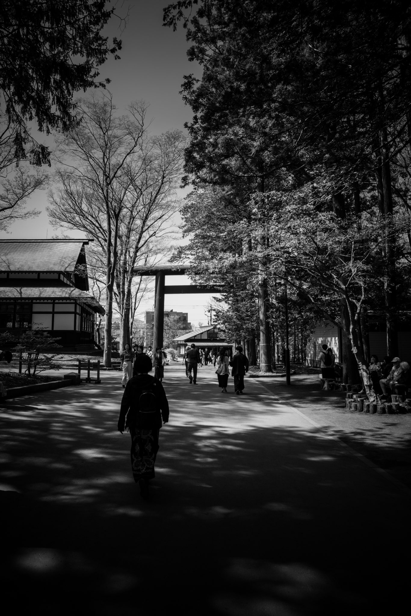 IMG_5022.jpeg