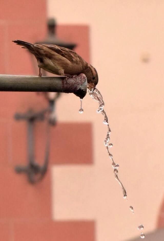IMG_5560.jpeg