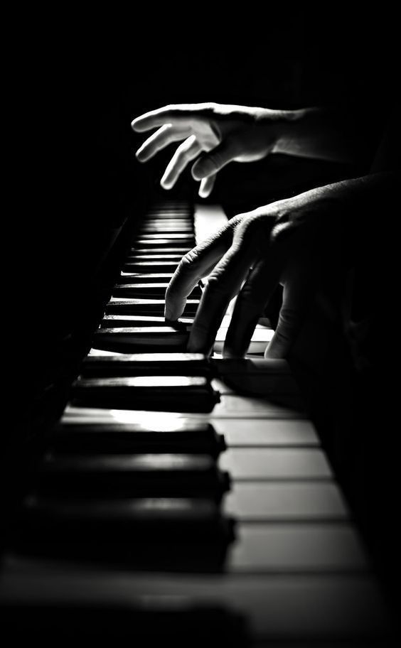 IMG_6010.jpeg