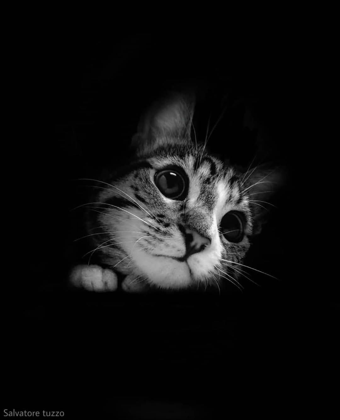 IMG_6452.jpeg