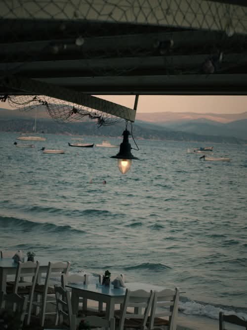IMG_6584.jpeg