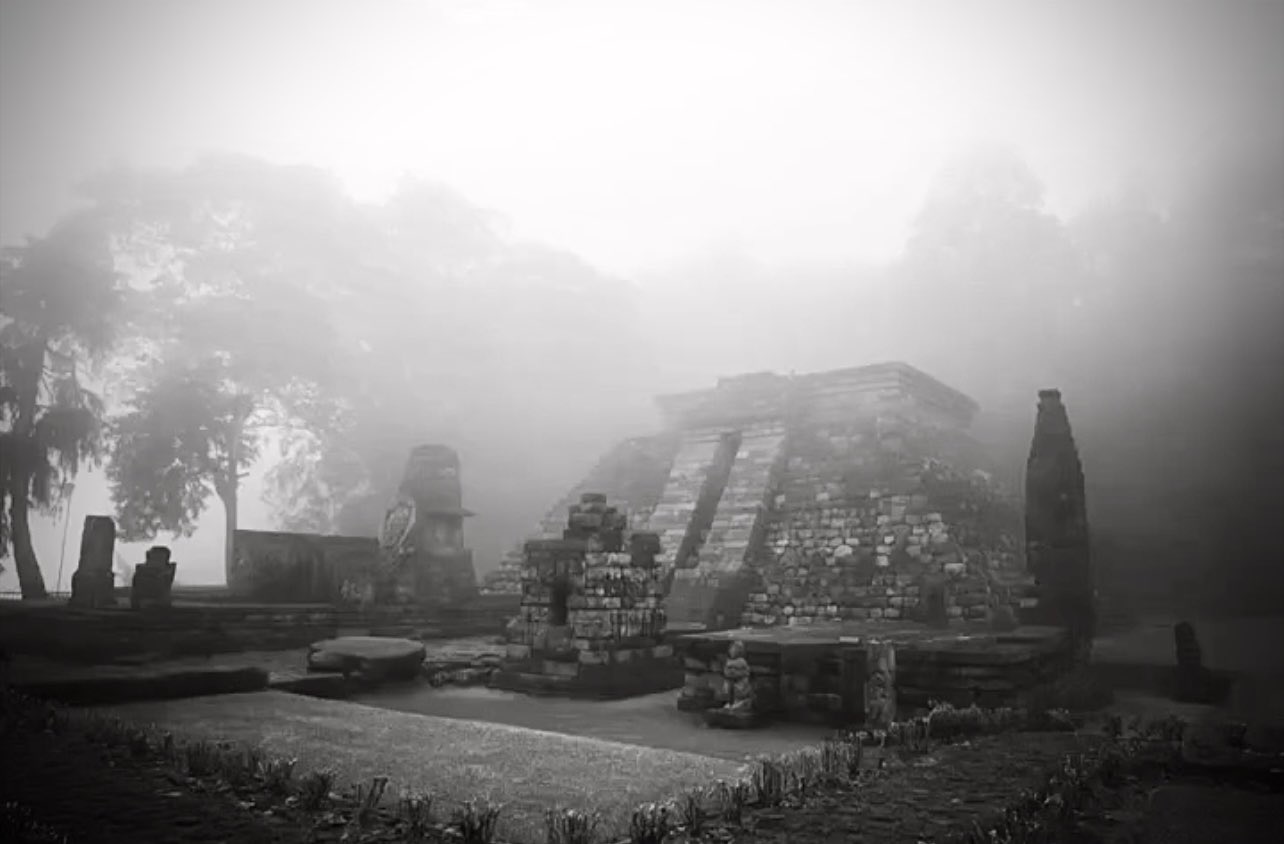 IMG_8380.jpeg