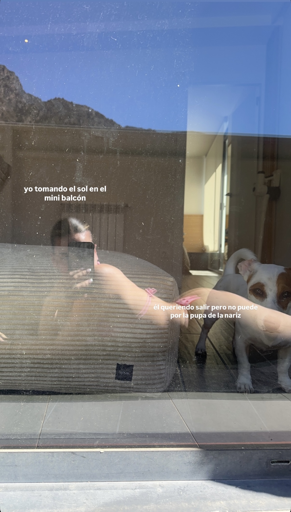 IMG_9442.jpeg