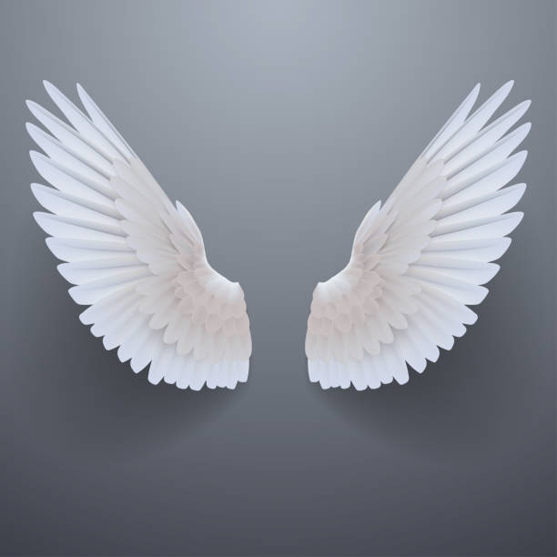 istockphoto-1087575056-612x612.jpg