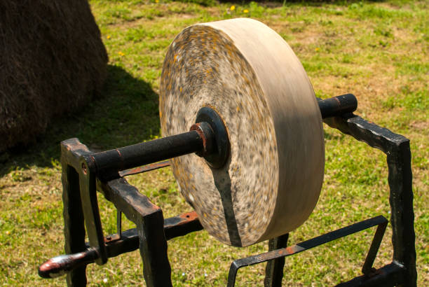 istockphoto-1317328244-612x612.jpg