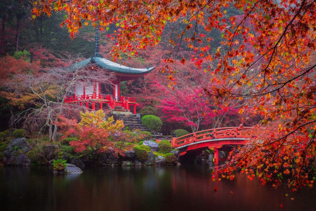 Japon8-1024x683.jpg