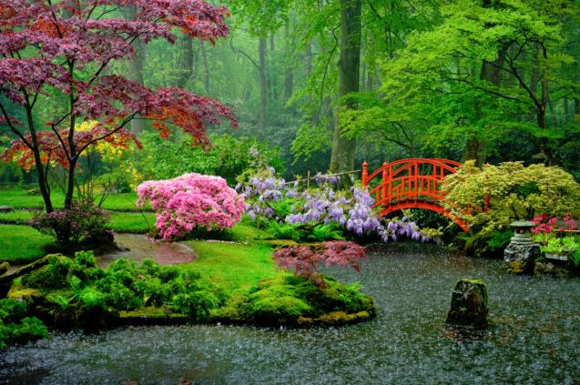 jardines-japoneses-en-japon-bonitos.jpg