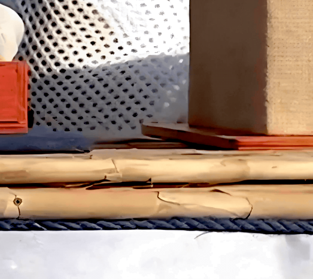 LauraMadrueñoCamelHD.2026-02-22 13_14_26.gif