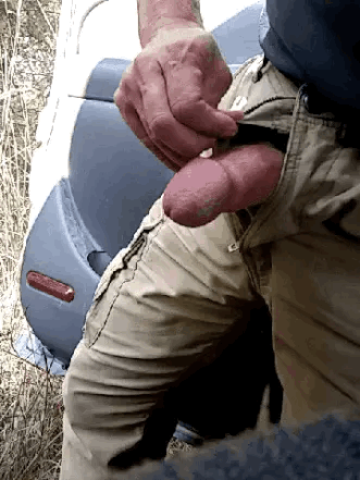 llonpogif.gif