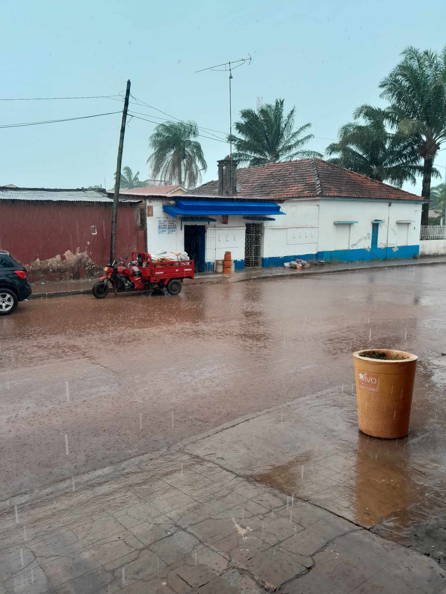 LLuvia.1.jpg