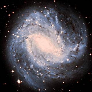 m083.jpg