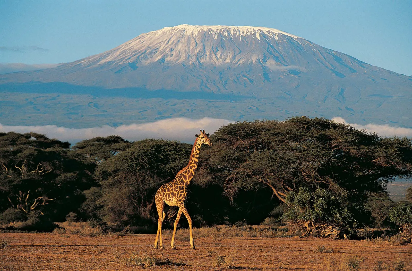 Mount-Kilimanjaro-Tanzania.webp