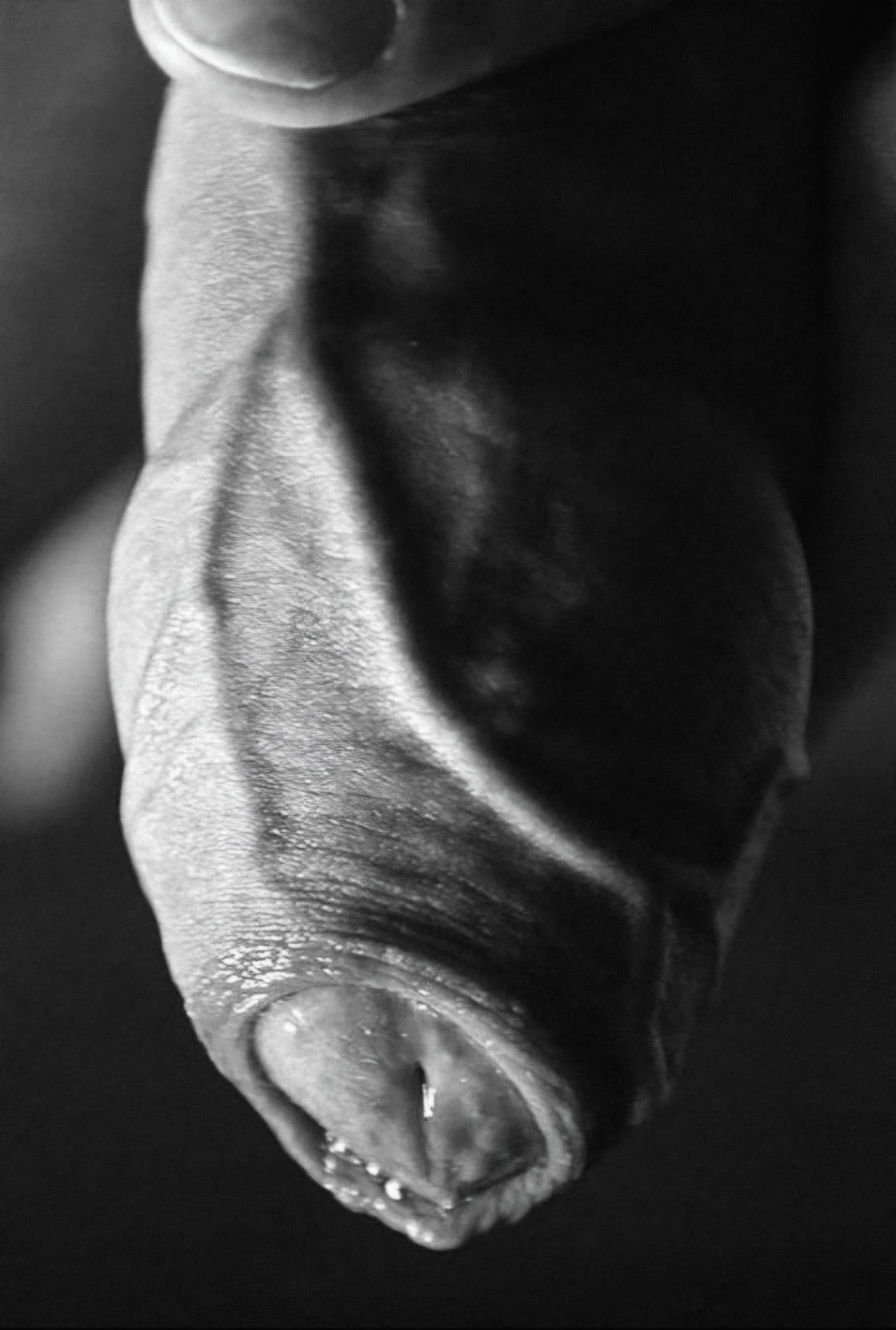 nT_090r3uhzic68yxi4apxur8dy_600 (1).jpg