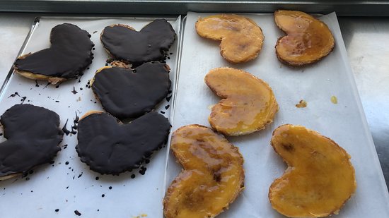 nuestras-increibles-palmeras.jpg