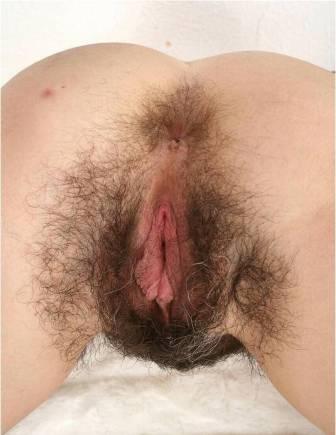 peluda5.jpg