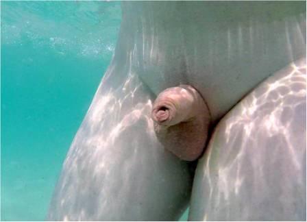 piscina1.jpg