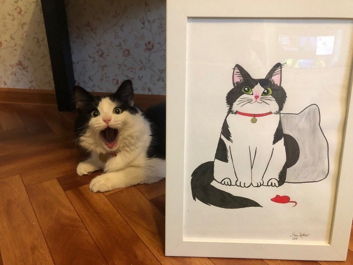 poetgato.jpg