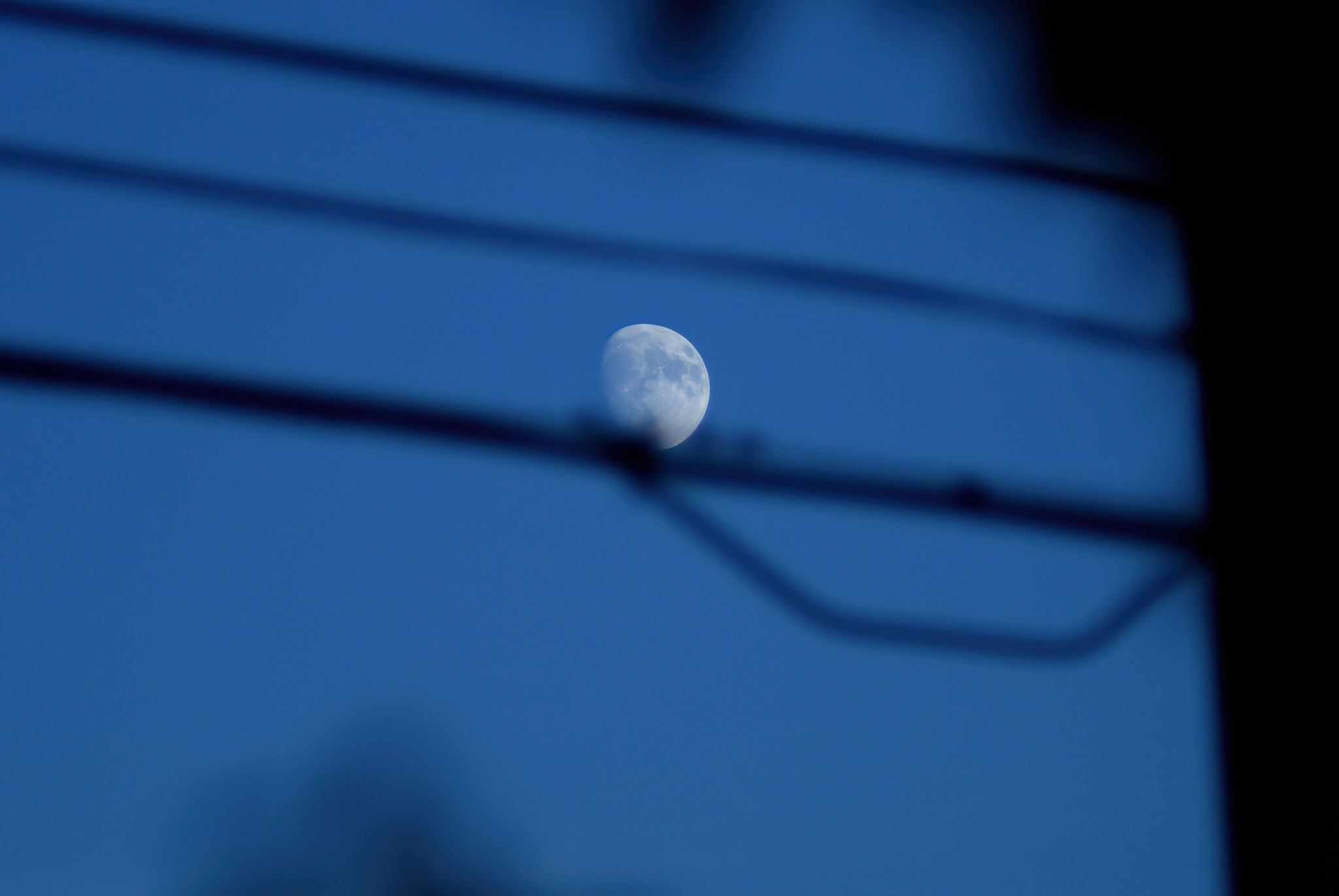 poetluna.jpg