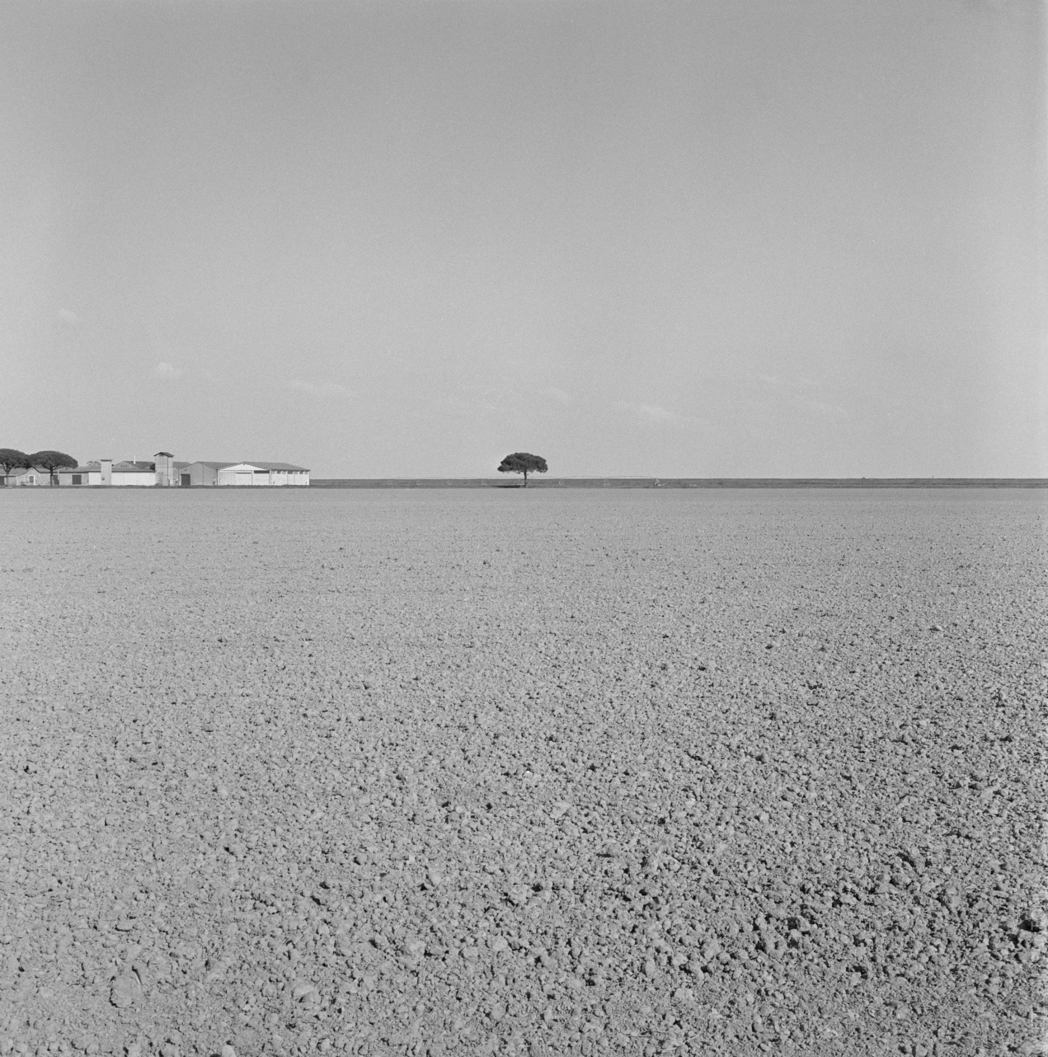 poetMatteo M. Santoni.jpg