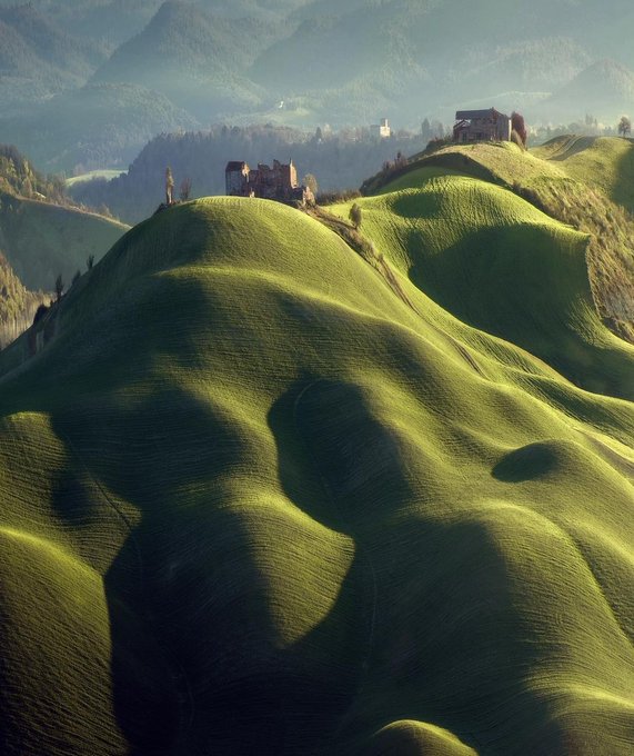 poetoscana.jpg