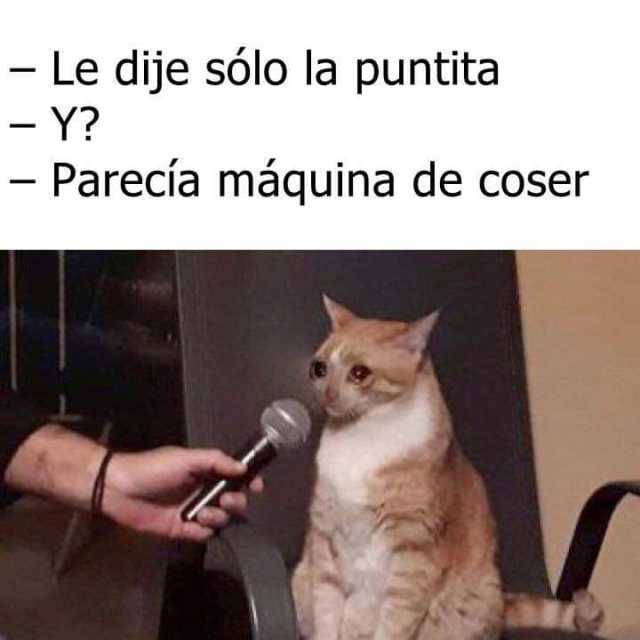 puntita.jpg