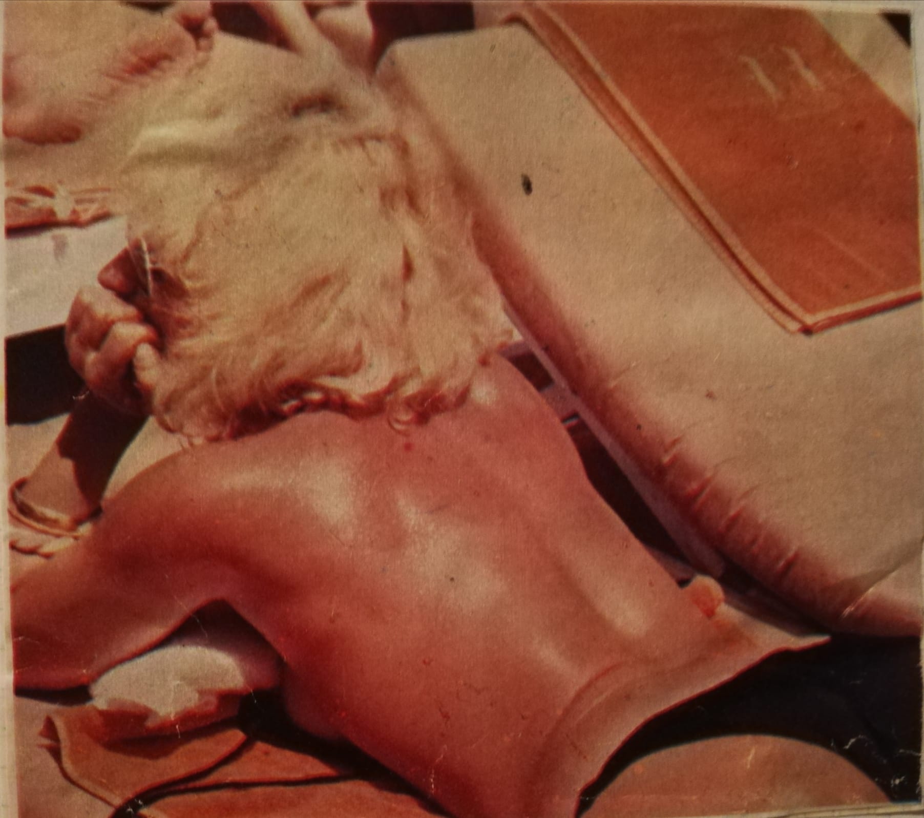rc000777444111.jpg
