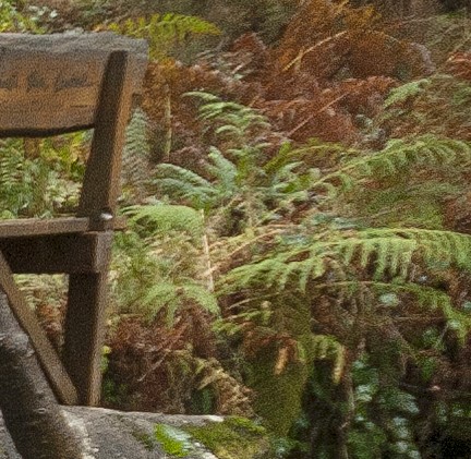 rec3.jpg