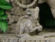 reto animal.jpg