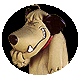 risa-y-cara-riendo-imagen-animada-0003.gif