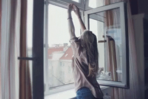 roofer-windows.gif
