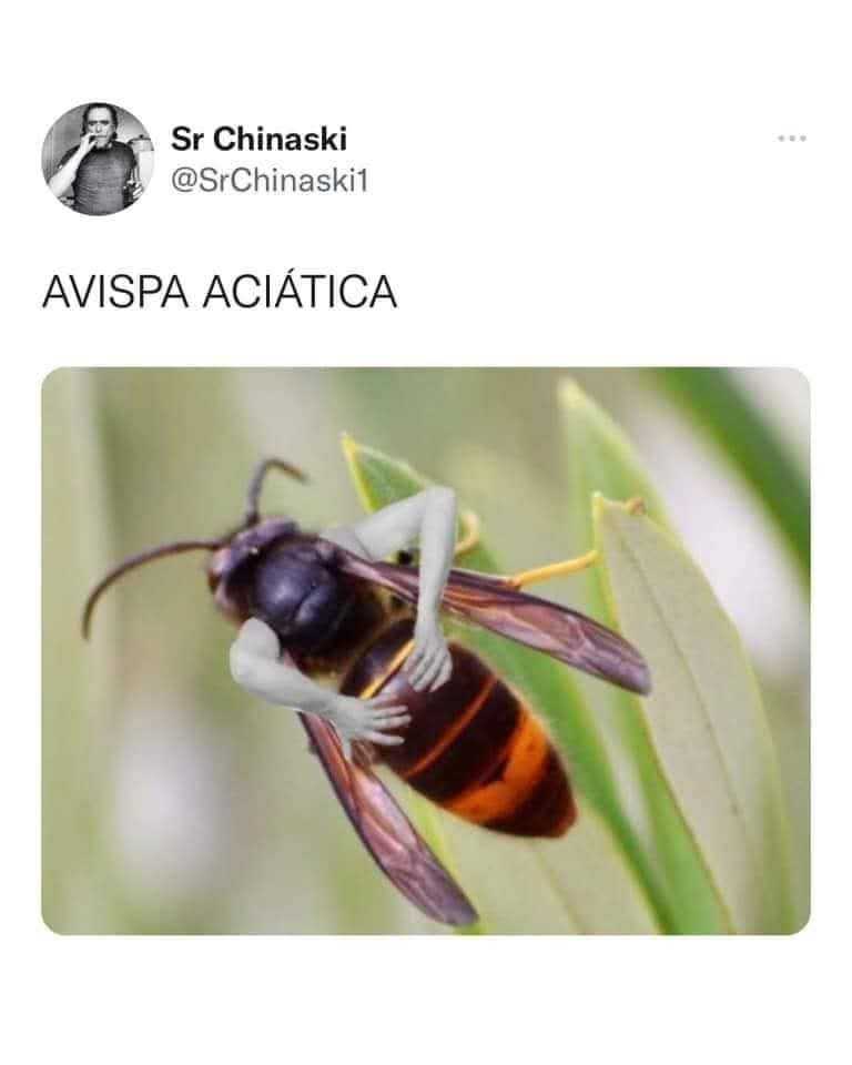 RST.26.jpg