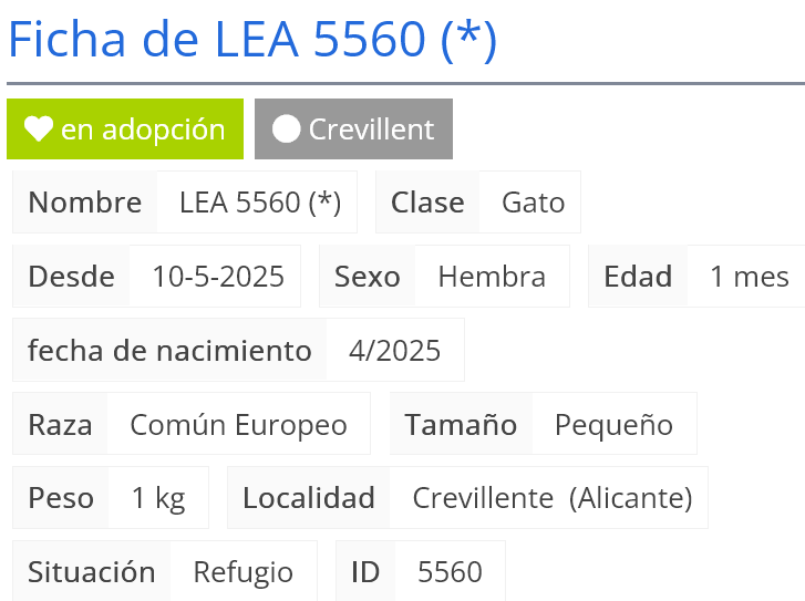 Screenshot 2025-05-16 at 18-02-02 Zero - Ficha de LEA 5560 ( ).png
