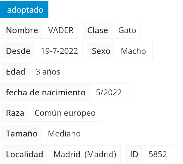 Screenshot 2025-06-09 at 18-43-07 Rivanimal - Adopción de VADER.png