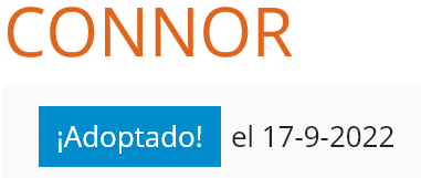 Screenshot 2025-06-16 at 18-35-37 Rivanimal - Adopción de CONNOR.png