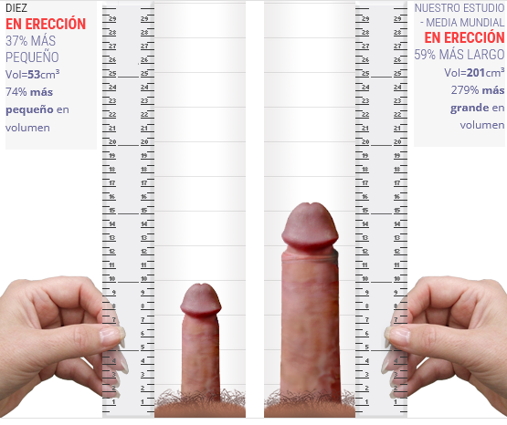 Screenshot 2025-10-20 at 19-24-18 El comparador Penis Comparator.png