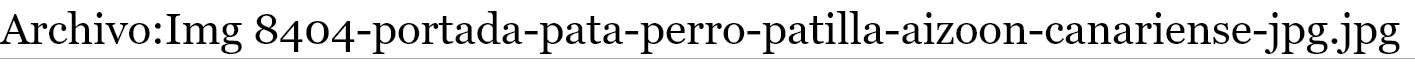Screenshot 2025-12-10 at 17-44-08 Archivo Img 8404-portada-pata-perro-patilla-aizoon-canariens...png