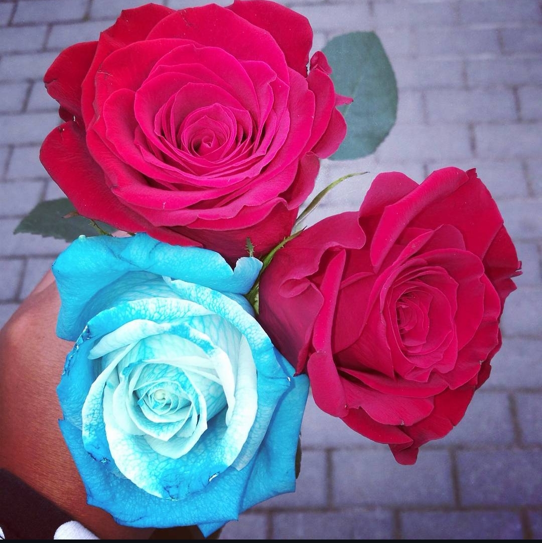 Screenshot_20250316_131935_com_instagram_android_InstagramMainActivity.jpg