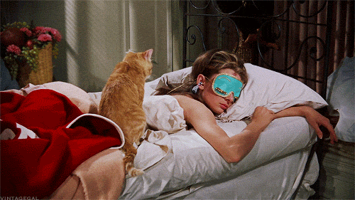 siesta-cool.gif