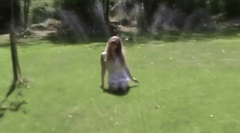 SS1.gif