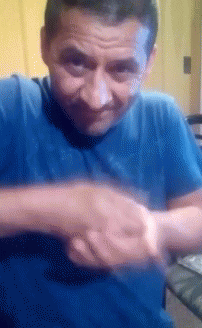 suelta gallina.gif