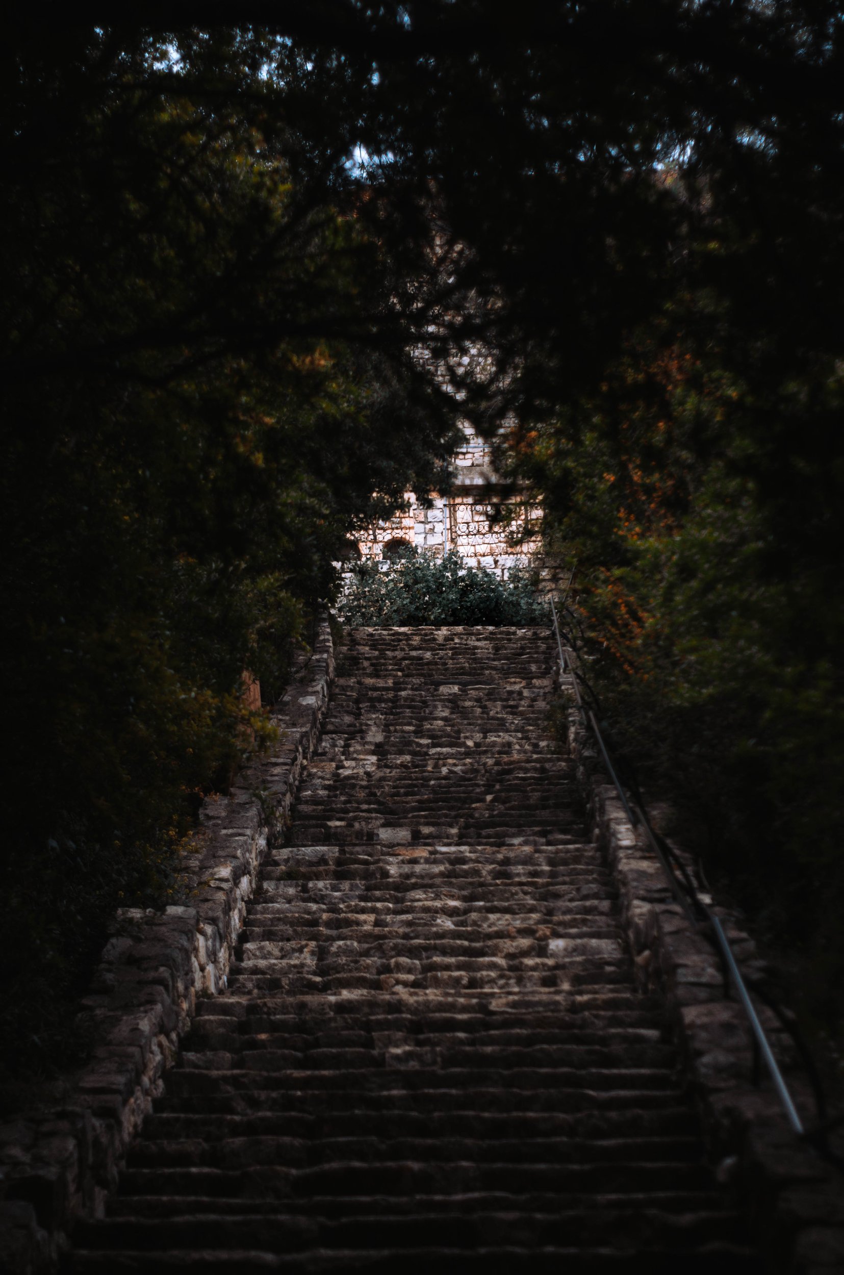 toma-vertical-de-escaleras-rodeadas-de-arboles.jpg
