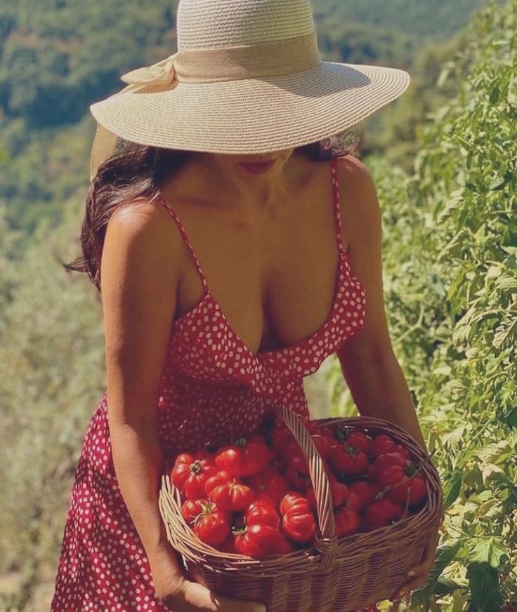 tomates.jpg