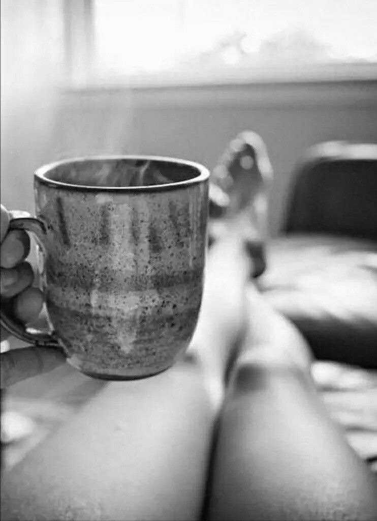 Tumblr_l_209780329920441.jpg