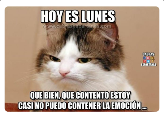 tumblr_odecdpE36h1s2md07o1_540.png