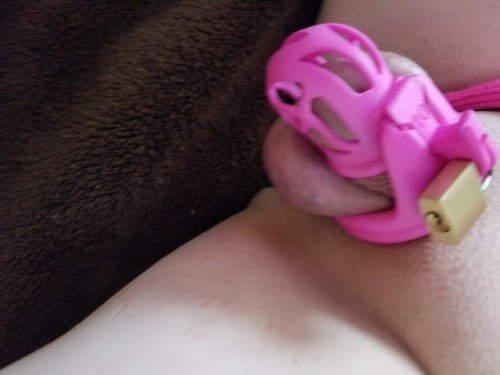 tumblr_p8av06EoaP1rizvvro1_500.jpg