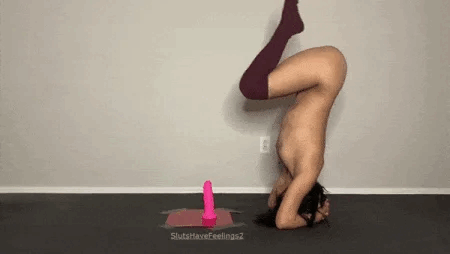 user26682683_d64ca6ac0db7.gif