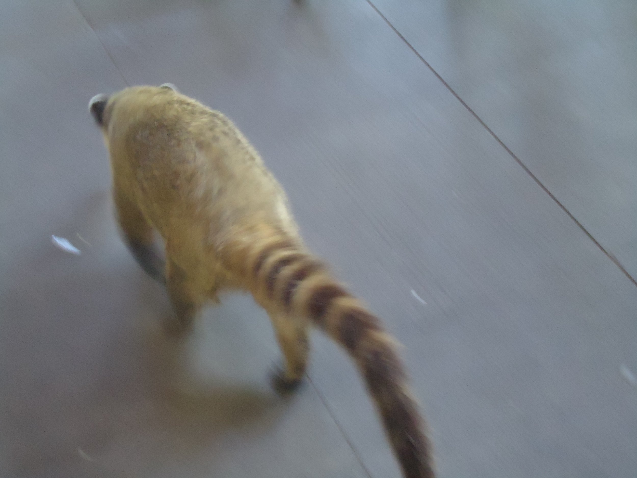 Viaje a Sudamerica 520.JPG